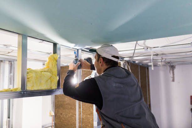 Best Home Insulation Services  in Eagan, MN